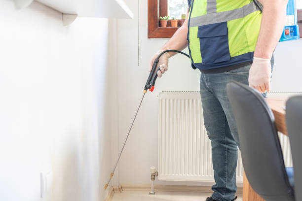 Best Termite Control Services  in Vienna, WV