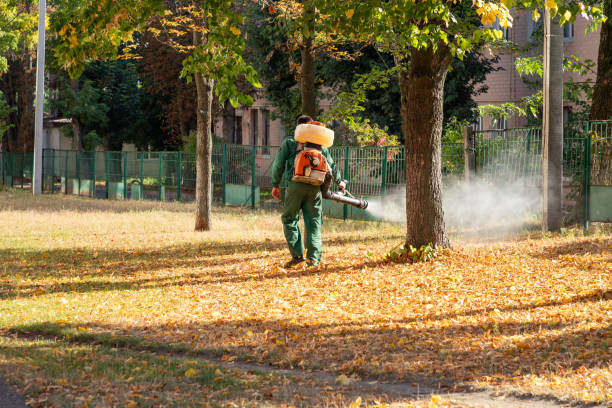 Best Commercial Pest Control Services  in Vienna, WV