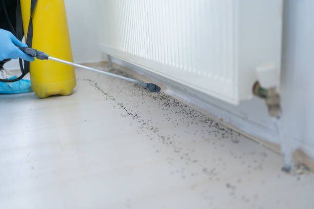 Best Cockroach Control Services  in Vienna, WV